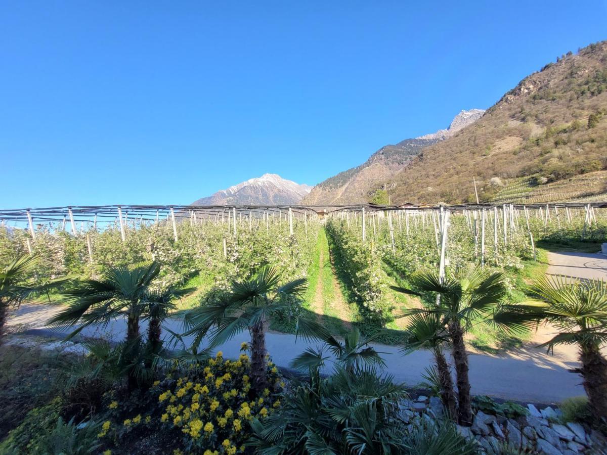 拉古多Oberangerhof公寓式酒店 外观 照片